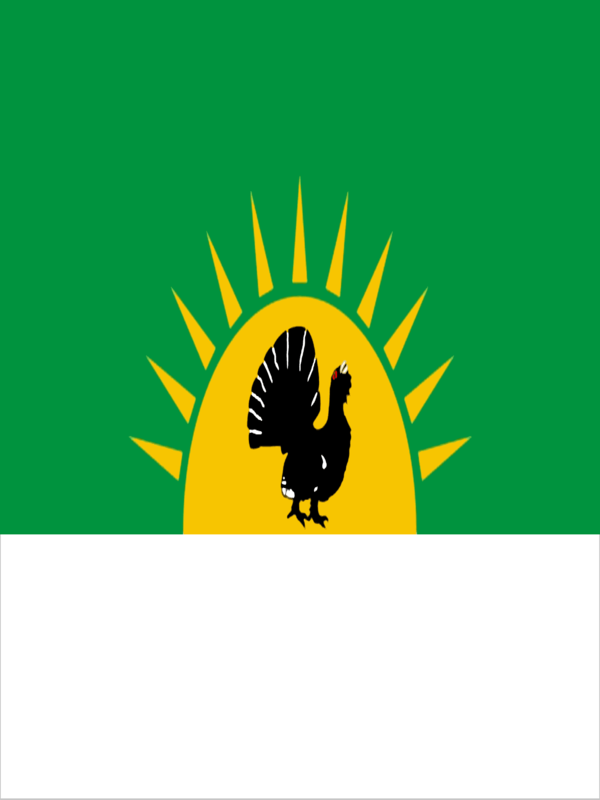 Флаг.