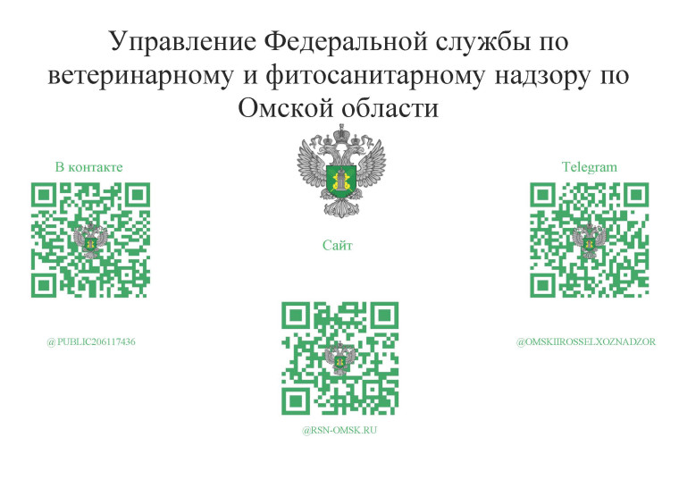 сайт. сайт.