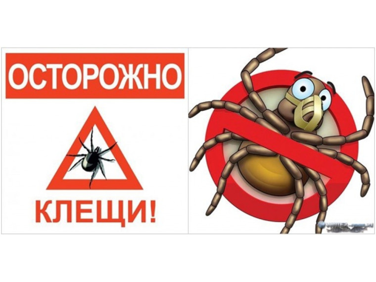 ОСТОРОЖНО -КЛЕЩИ!!!!. ОСТОРОЖНО -КЛЕЩИ!!!!.